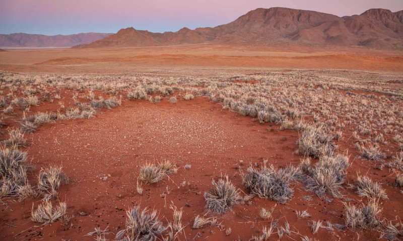 Giai ma bi an ve nhung “vong tron co tich” ky la o Namibia-Hinh-2