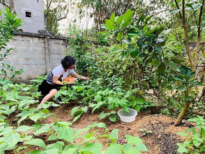 Hong Dang khoe biet thu nha vuon ngoai thanh Ha Noi dep mien che-Hinh-3