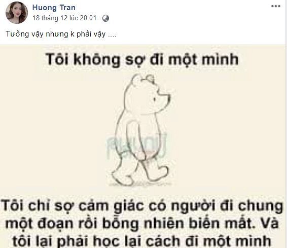 Hau ly hon, vo cu Viet Anh lien tuc dang status chat chua tam trang-Hinh-2