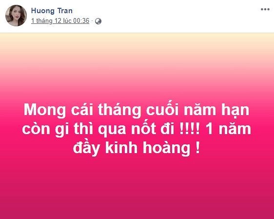 Hau ly hon, vo cu Viet Anh lien tuc dang status chat chua tam trang-Hinh-3