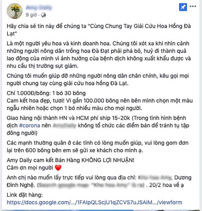Hong Da Lat chi 1.000 dong/bong: Chi em huong ung “giai cuu”-Hinh-2
