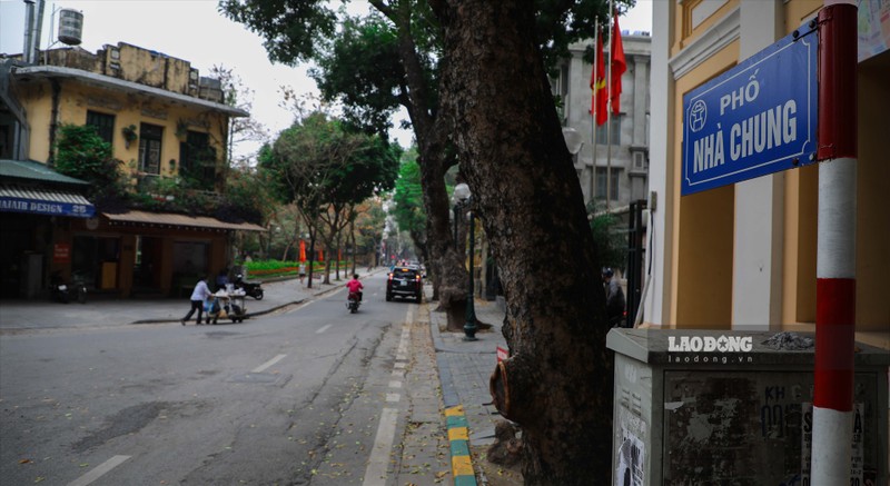 Can canh tuyen duong 'vang', dat do nhat Ha Noi-Hinh-2