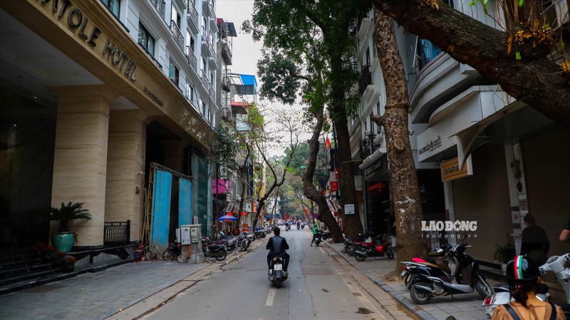 Can canh tuyen duong 'vang', dat do nhat Ha Noi-Hinh-5