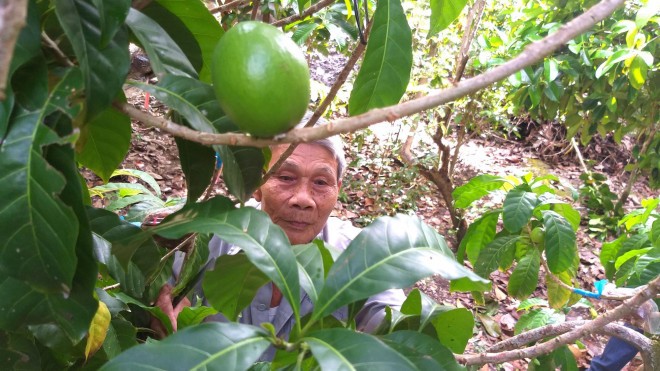 La lung vu sua mau vang ong, cho trai quanh nam