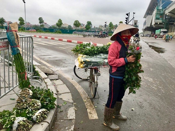 10 nghin dong/50 bong hoa, nong dan Tay Tuu meo mat vi dich