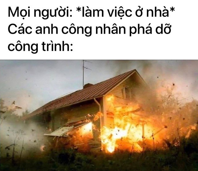 1001 vien canh hai huoc khi tat ca cac nghe phai lam viec tai nha-Hinh-5