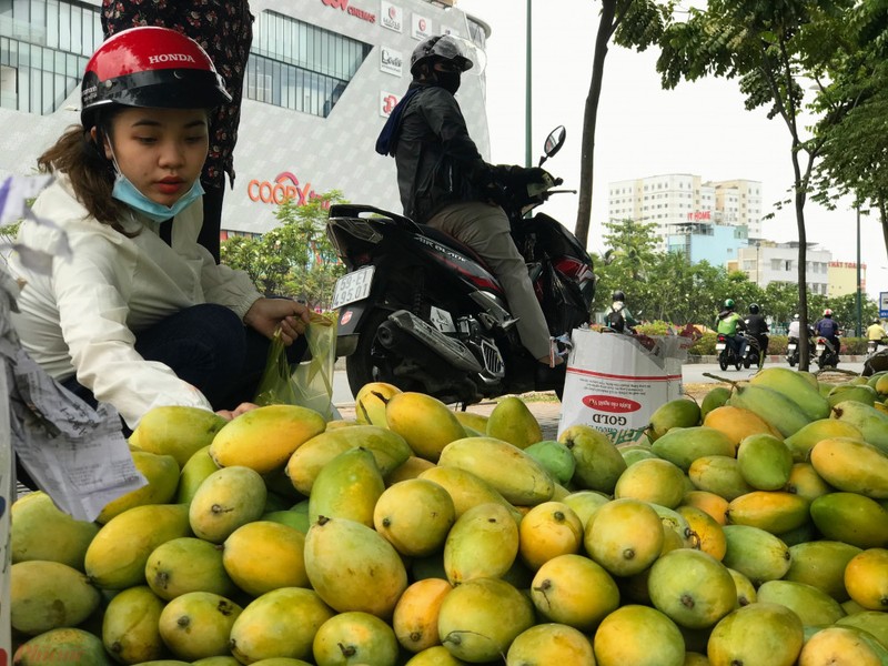 Xoai do dong ban day duong pho, gia chi 10.000 dong/kg-Hinh-3