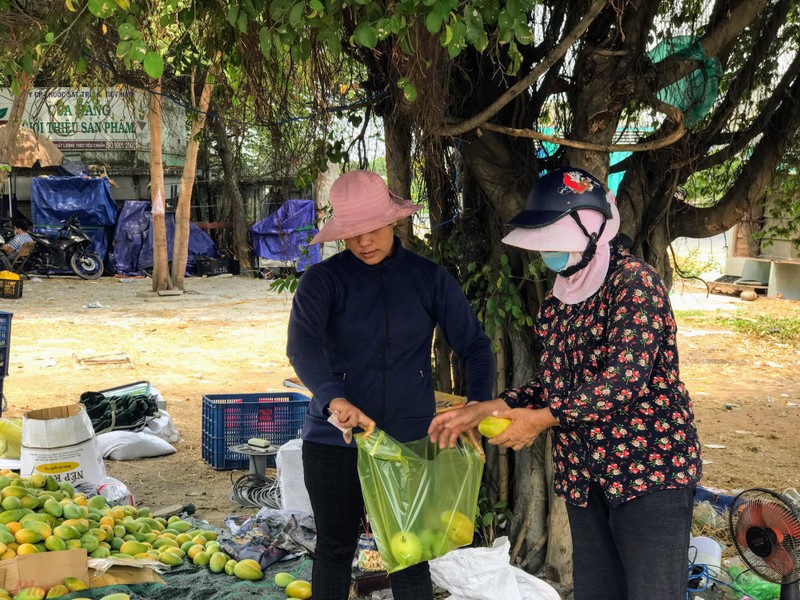 Xoai do dong ban day duong pho, gia chi 10.000 dong/kg-Hinh-5