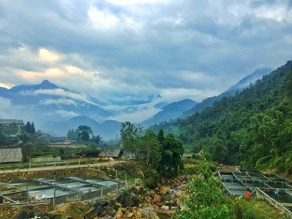 Ca hoi Sa Pa giam gia soc van e: Gian nan trong viec 'giai cuu' tai Ha Noi