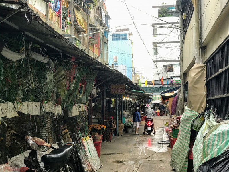 Hoa Da Lat 'cho khong', ve Sai Gon muon mua re phai ra le duong-Hinh-7