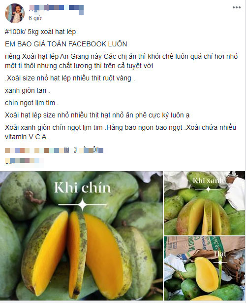 Xoai rot gia khung khiep, re hon di mua rau-Hinh-3