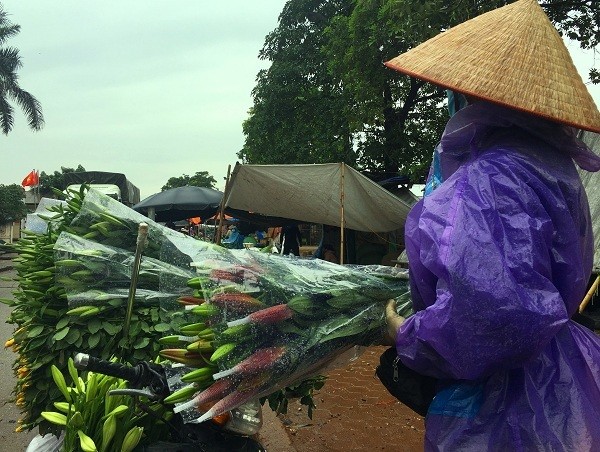 Gia hoa ly 're nhu cho', nong dan Tay Tuu khoc rong tren 'dong no'