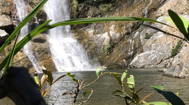 Quang Ngai: 'De nhat ca suoi' co tien cung khong de ma mua-Hinh-2