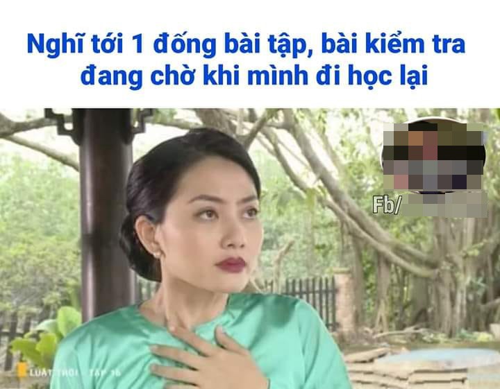 Ngoc Lan phan ung la truoc loat anh che duoc rai khap moi mien que-Hinh-2