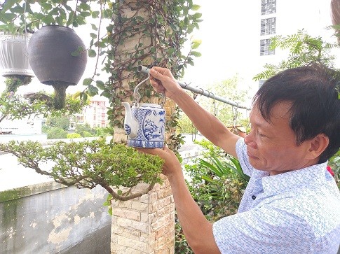 Ngam dan bonsai moc nguoc cuc doc la cua lao gan xu Quang-Hinh-14