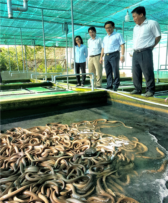 Nuoi luon khong bun, nhung nhuc toan con to, ca lang tram tro khen-Hinh-2