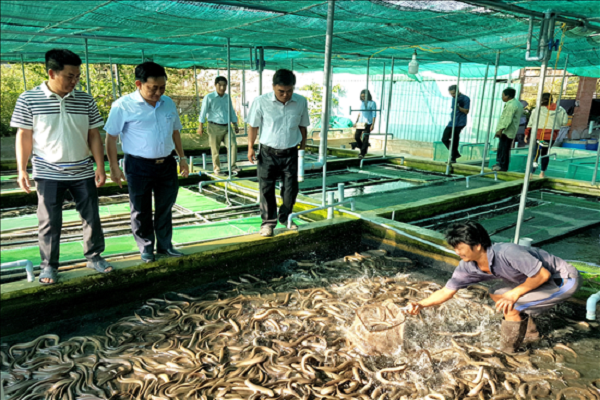 Nuoi luon khong bun, nhung nhuc toan con to, ca lang tram tro khen