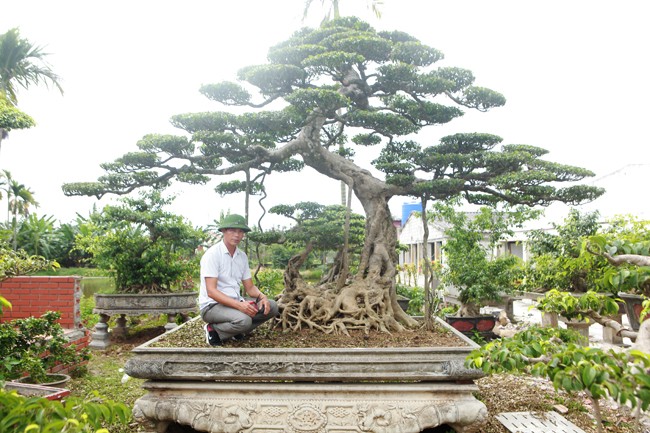 3 cay sanh 'khung' tri gia 10 ty cua anh nong dan-Hinh-14