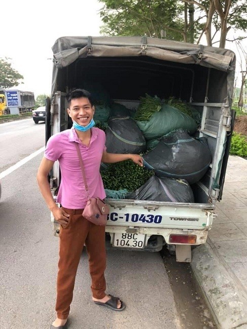 Ngon su su gia qua re ban khong ai mua, nguoi nong dan xot xa-Hinh-4