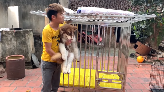 Hung Vlog hung ro gach da khi nhot em gai trong chuong cho-Hinh-5