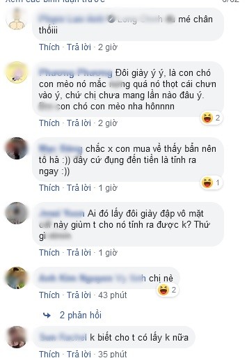 Nha van Gao bi dan mang comments sap mat vi thanh ly giay-Hinh-4