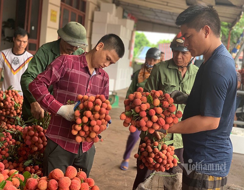 Khu cho dai 20km, 4.000 ty trao tay qua mau giay nho-Hinh-10