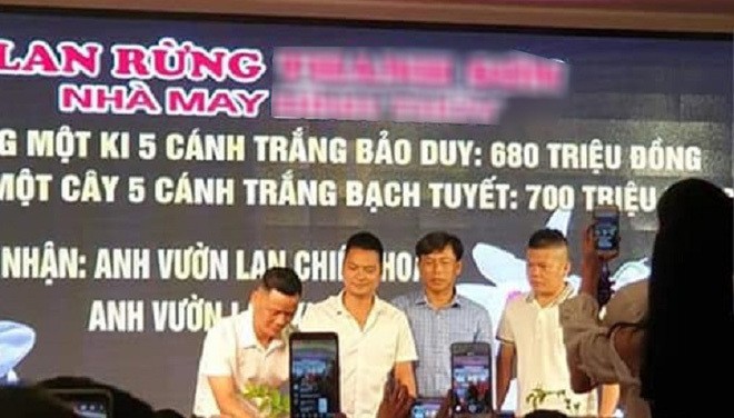 Chau hoa lan co gia 700 trieu dong vi li do bat ngo