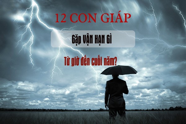 Van han cua 12 con giap nua cuoi nam 2020-Hinh-3