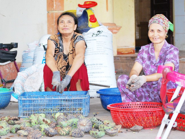 Dan bo lam an xa ve lang kiem tien trieu nho 1 loai hoa-Hinh-8