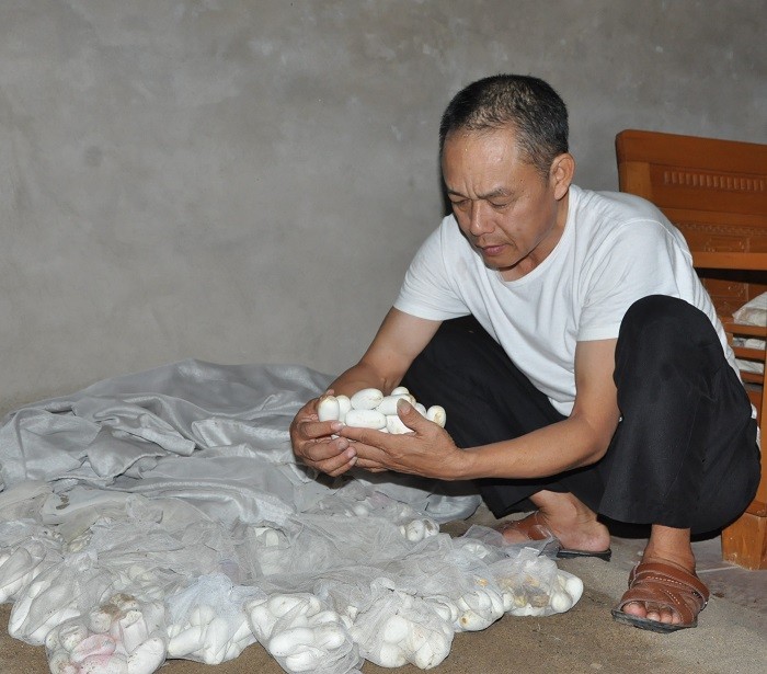 Ngoi lang ty phu nuoi mang xa noi tieng, gio ngap trong dong no-Hinh-2