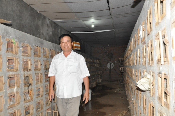 Ngoi lang ty phu nuoi mang xa noi tieng, gio ngap trong dong no-Hinh-6