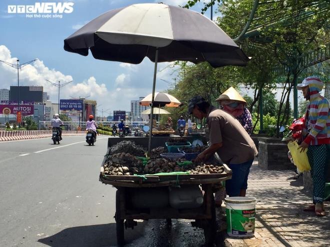 Ghe xanh “sieu re” ban day le duong o TP.HCM-Hinh-2