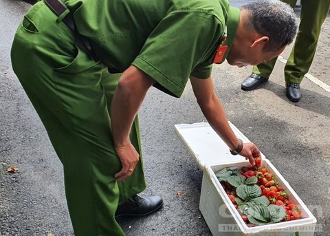 Dau tay Trung Quoc nhap canh 22 ngay van tuoi nhu vua hai