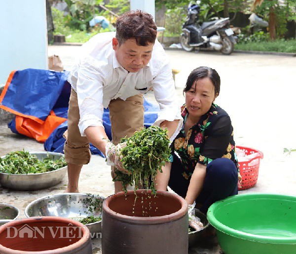 Rau mot thoi an chong doi, nay thu ca trieu dong moi ngay-Hinh-8