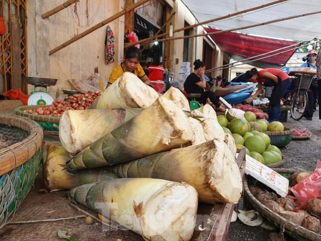 Mang rung vao mua tuoi ngon, ngap tran cho Ha Noi