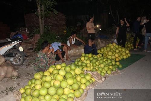 'Cho' chi ban duy nhat mot thu qua, toa mui thom ai cung muon an-Hinh-2