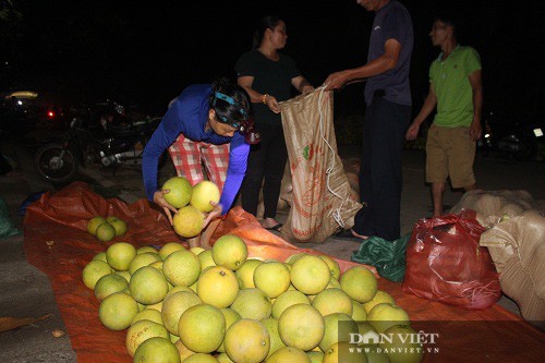 'Cho' chi ban duy nhat mot thu qua, toa mui thom ai cung muon an-Hinh-6