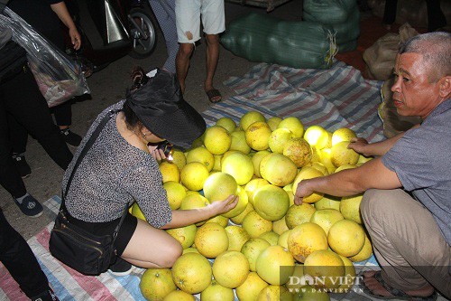 'Cho' chi ban duy nhat mot thu qua, toa mui thom ai cung muon an-Hinh-8