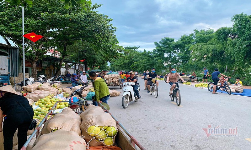 Dac san rot gia, re nhat 20 nam qua, dan soi den di cho thau dem