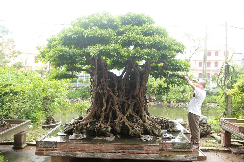 Loai con trung chi song vai tieng, dac san tru danh tren song Hong-Hinh-4