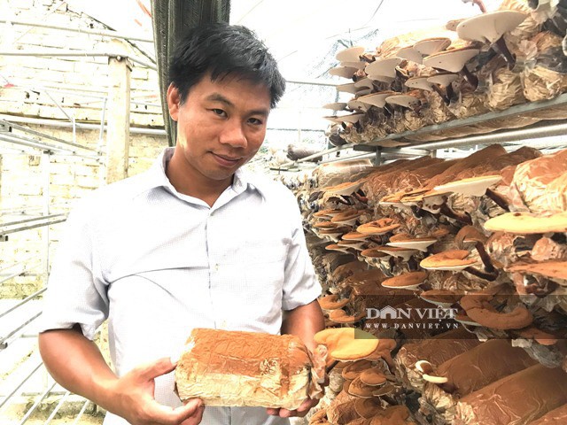 Trong nam cong nghe cao, anh ky su dien thu 2 ty moi nam-Hinh-4