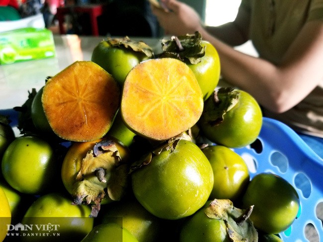 Vung dat co loai qua ten nghe nhu chim vi ngon 'tuyet pham'-Hinh-12