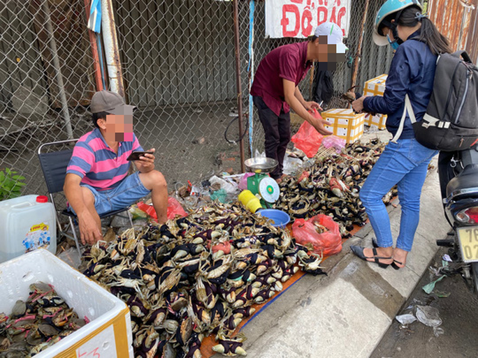 Cua Ca Mau 50.000 dong/3 con ban day duong, 'bao an'-Hinh-2