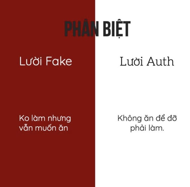 Tu dien “luoi fake”, “luoi auth” - Den hoi luoi cung “tha tim” am am-Hinh-3