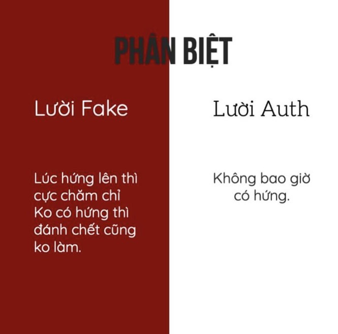 Tu dien “luoi fake”, “luoi auth” - Den hoi luoi cung “tha tim” am am-Hinh-5