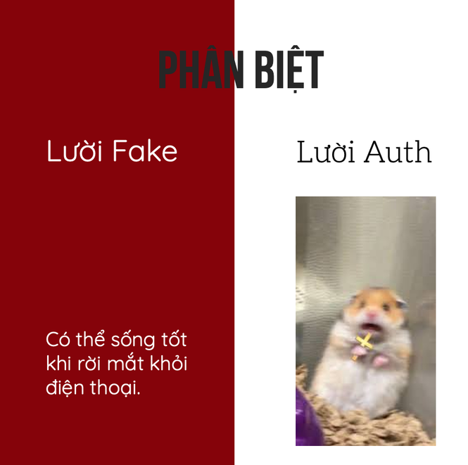 Tu dien “luoi fake”, “luoi auth” - Den hoi luoi cung “tha tim” am am-Hinh-7