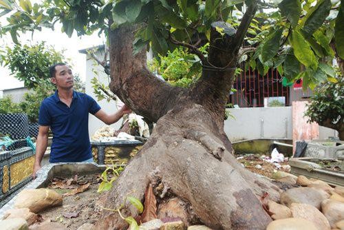 Cap Tien dong - Ngoc nu cua vua mai vang Yen Tu-Hinh-5