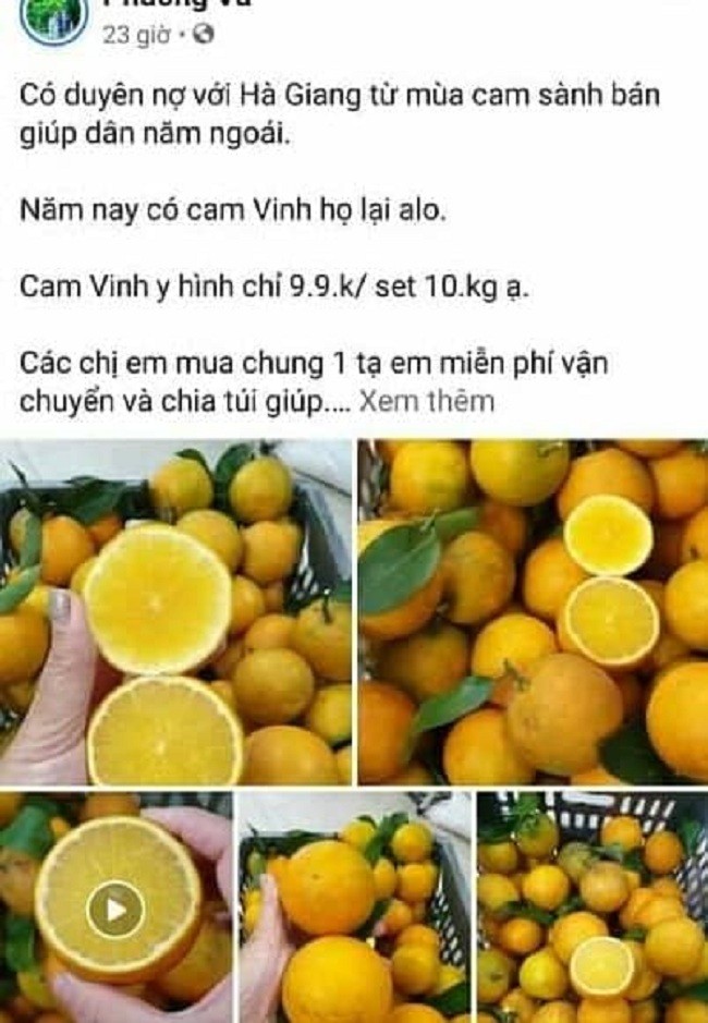 Nguoi ban tiet lo vi sao Cam Vinh chi 5 nghin dong/kg-Hinh-2