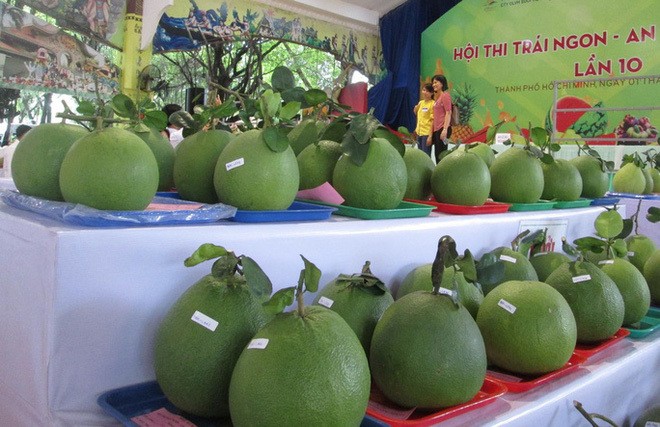 Buoi Viet Nam 'soan ngoi' buoi Trung Quoc tai Nga