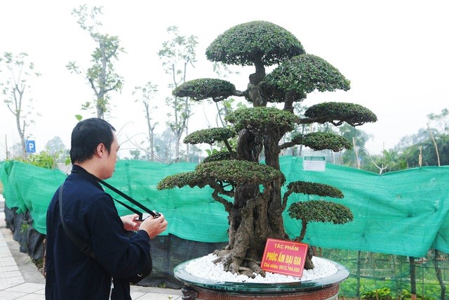 Tiêu dùng & Dư luận - Vẻ đẹp hiếm có của cặp duối cổ khiến đại gia xếp hàng mua